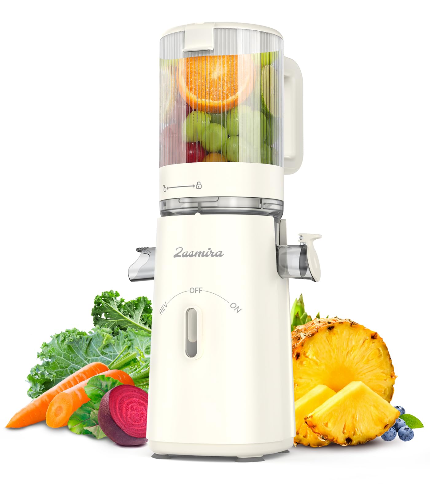 Cold Press Juicer,2 Cups Included