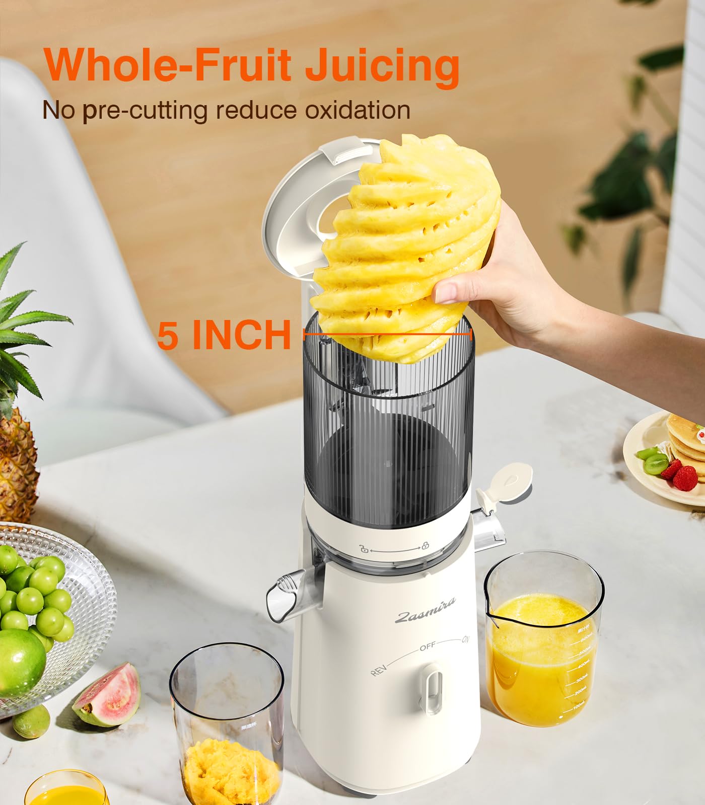 Cold Press Juicer,2 Cups Included